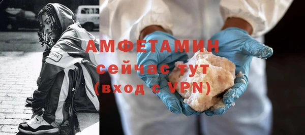 молекула духа Бородино