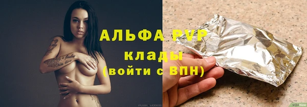 молекула духа Бородино