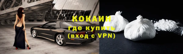 молекула духа Бородино