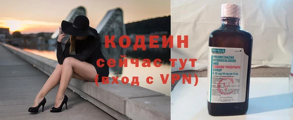 молекула духа Бородино