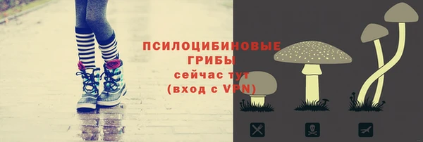 молекула духа Бородино
