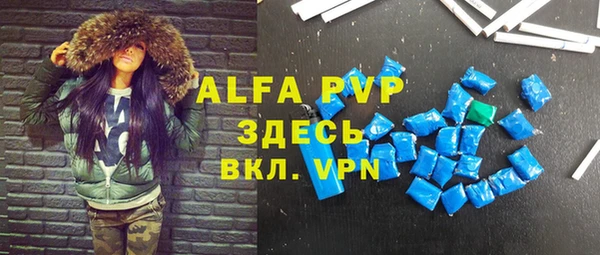молекула духа Бородино