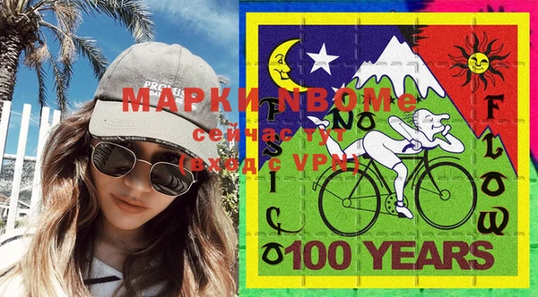 молекула духа Бородино