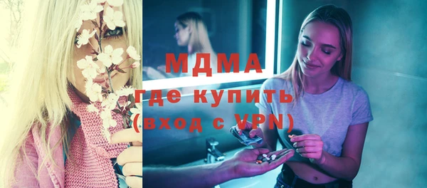 молекула духа Бородино