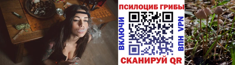 Псилоцибиновые грибы Cubensis  Клинцы 